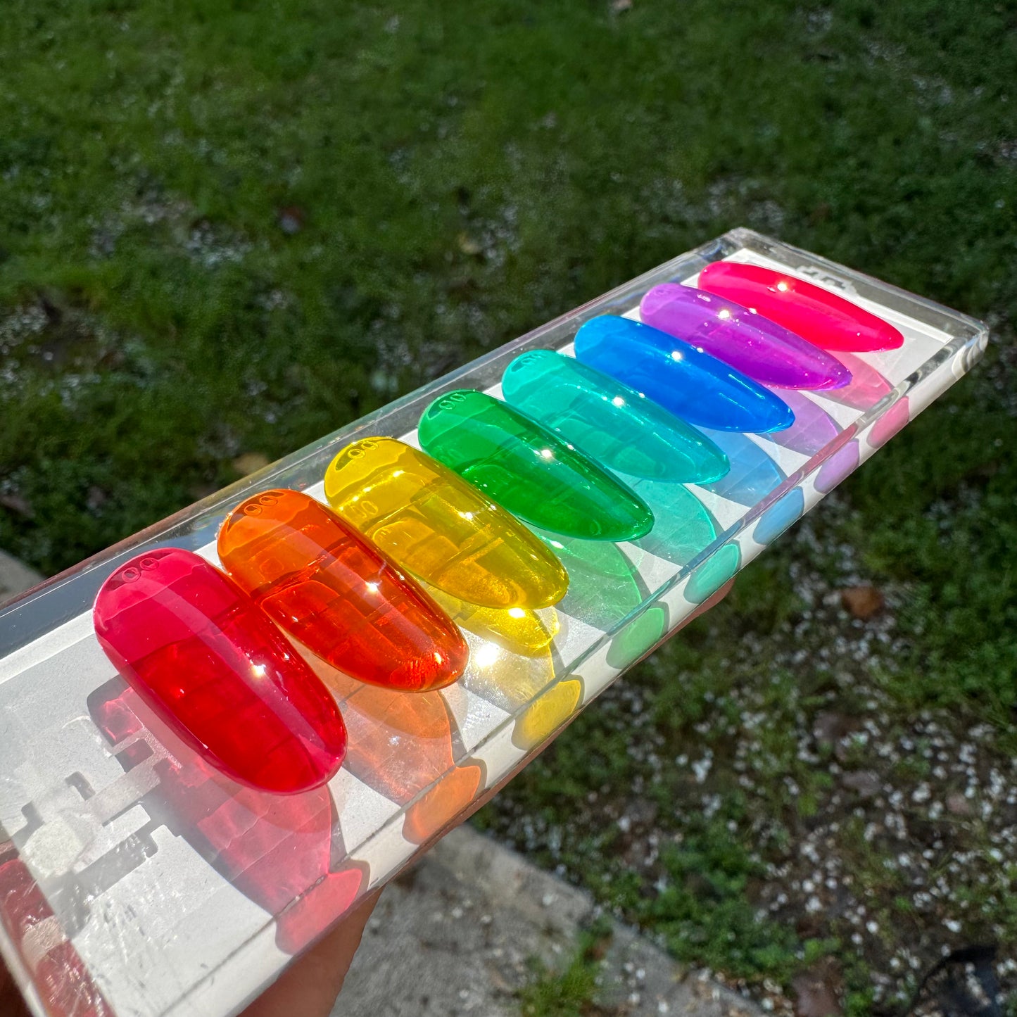 The "Legenjelly" Collection